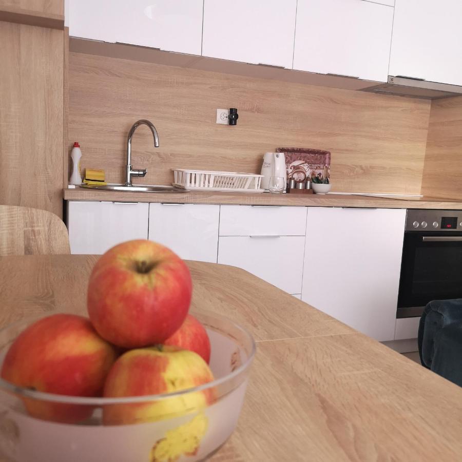 Family Apartment With Garden Sarajevo Exteriör bild