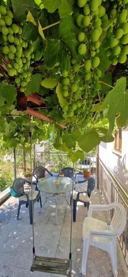 Family Apartment With Garden Sarajevo Exteriör bild