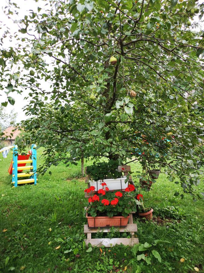 Family Apartment With Garden Sarajevo Exteriör bild