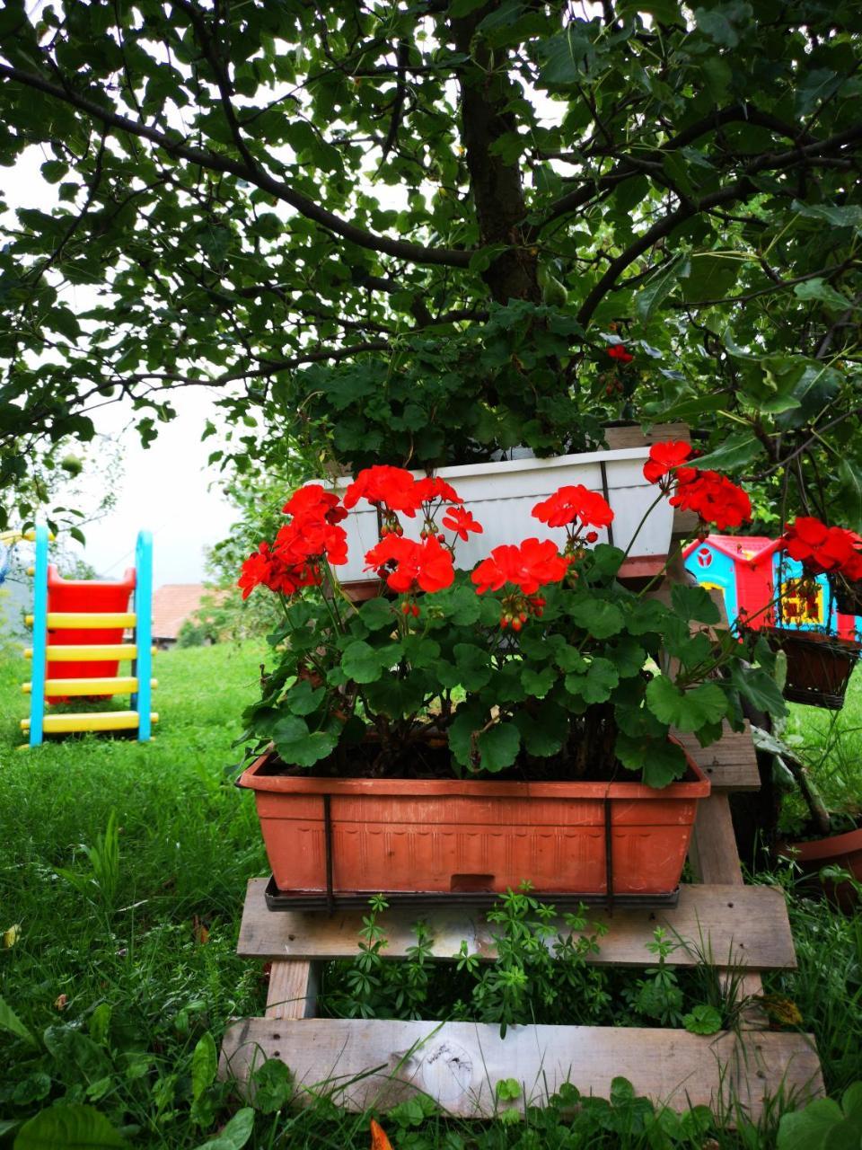 Family Apartment With Garden Sarajevo Exteriör bild