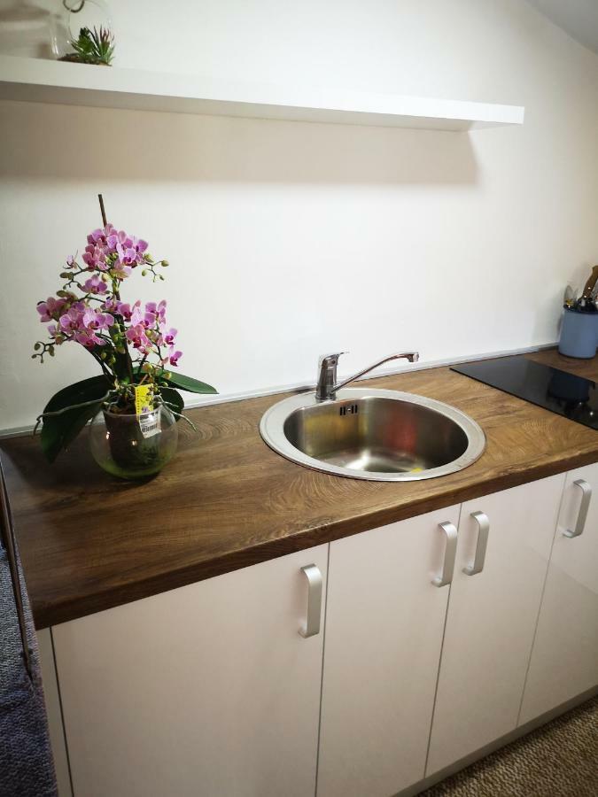 Family Apartment With Garden Sarajevo Rum bild